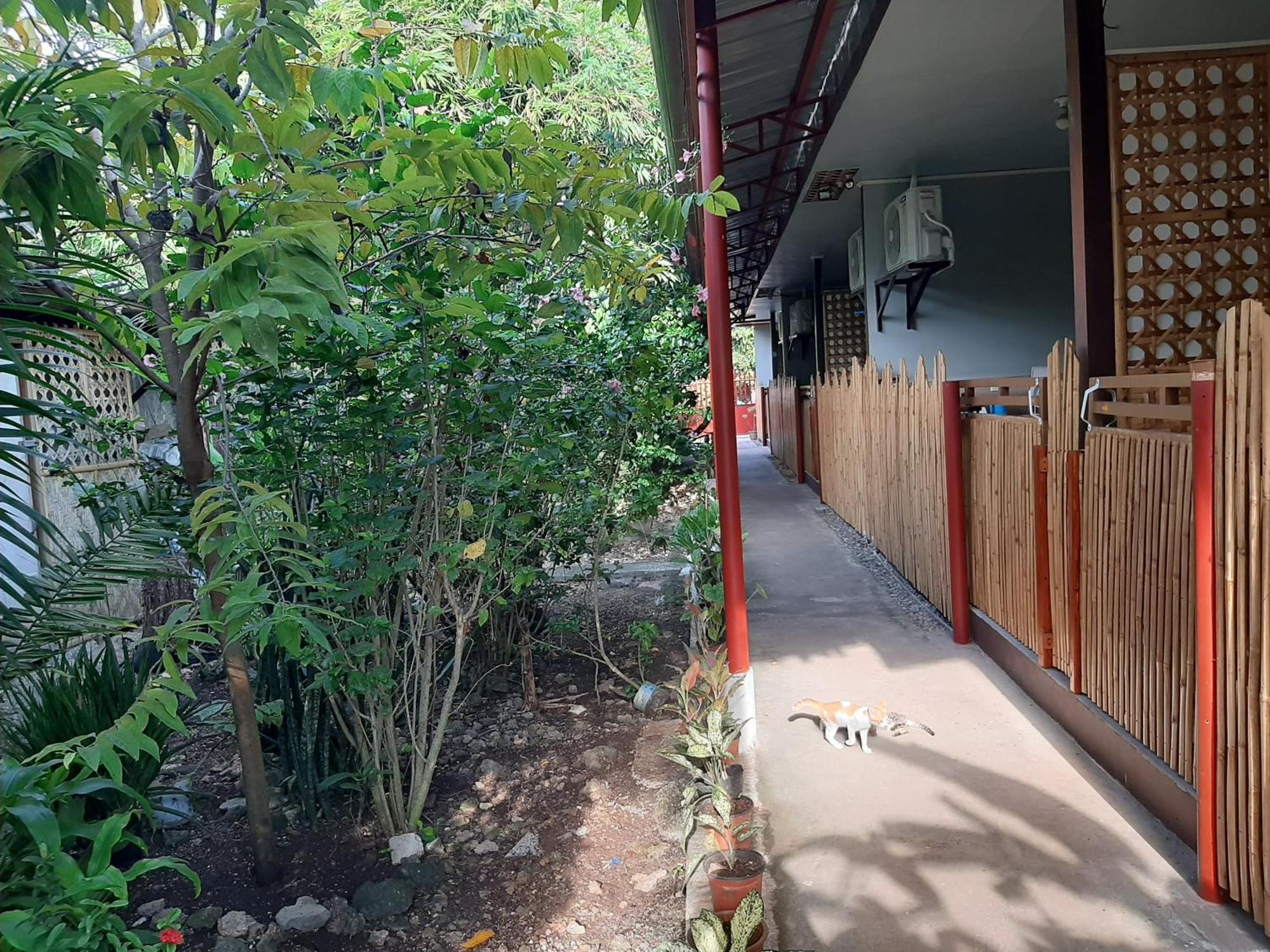 Alimpay Foresters Apartment 팡라오 외부 사진